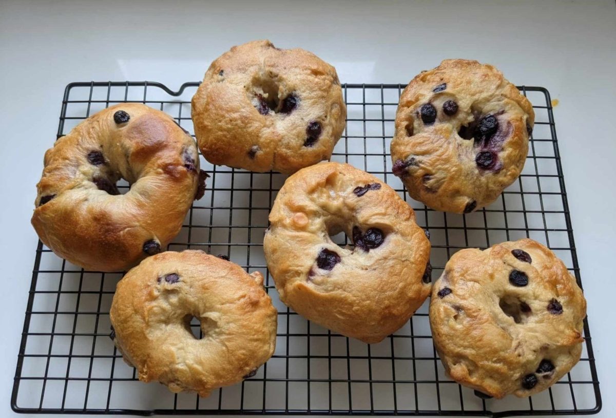 Blueberry bagels cooling on a rack